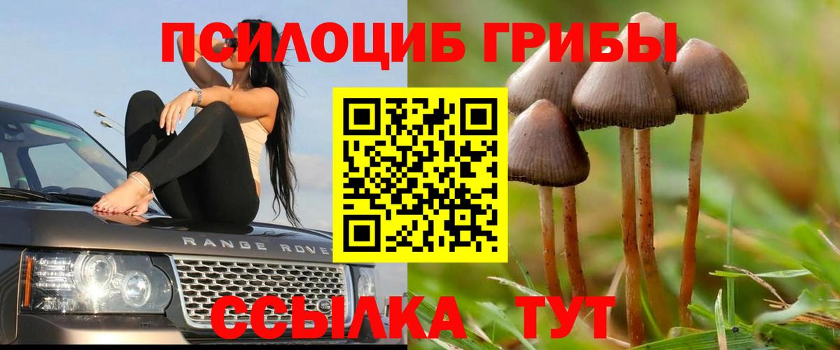 Псилоцибиновые грибы ЛСД Улан-Удэ