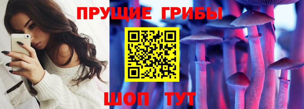 Псилоцибиновые грибы мицелий  Псилоцибиновые грибы MAGIC MUSHROOMS  Вход с VPN  Улан-Удэ 